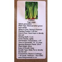 6 Degrees East Heirloom Veg Seeds - Celeriac - Sedano Rapa